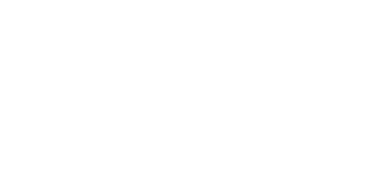 stc (1)